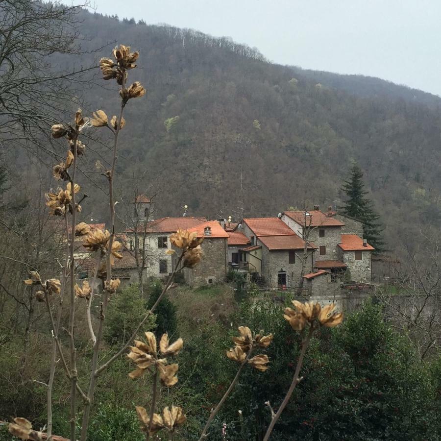 B&B Il Ghiro Castiglioni  Buitenkant foto