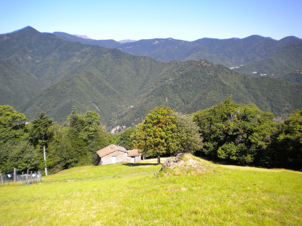 B&B Il Ghiro Castiglioni  Buitenkant foto