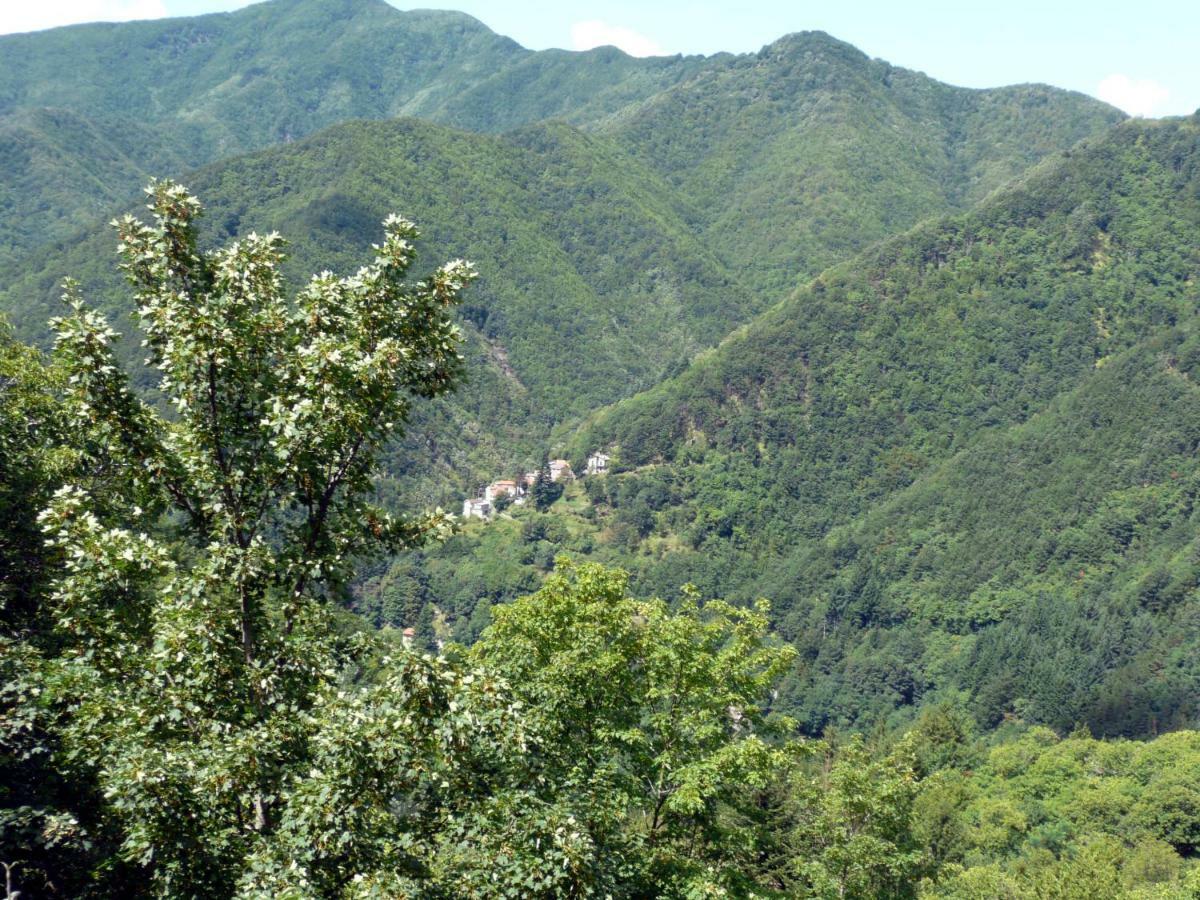 B&B Il Ghiro Castiglioni  Buitenkant foto