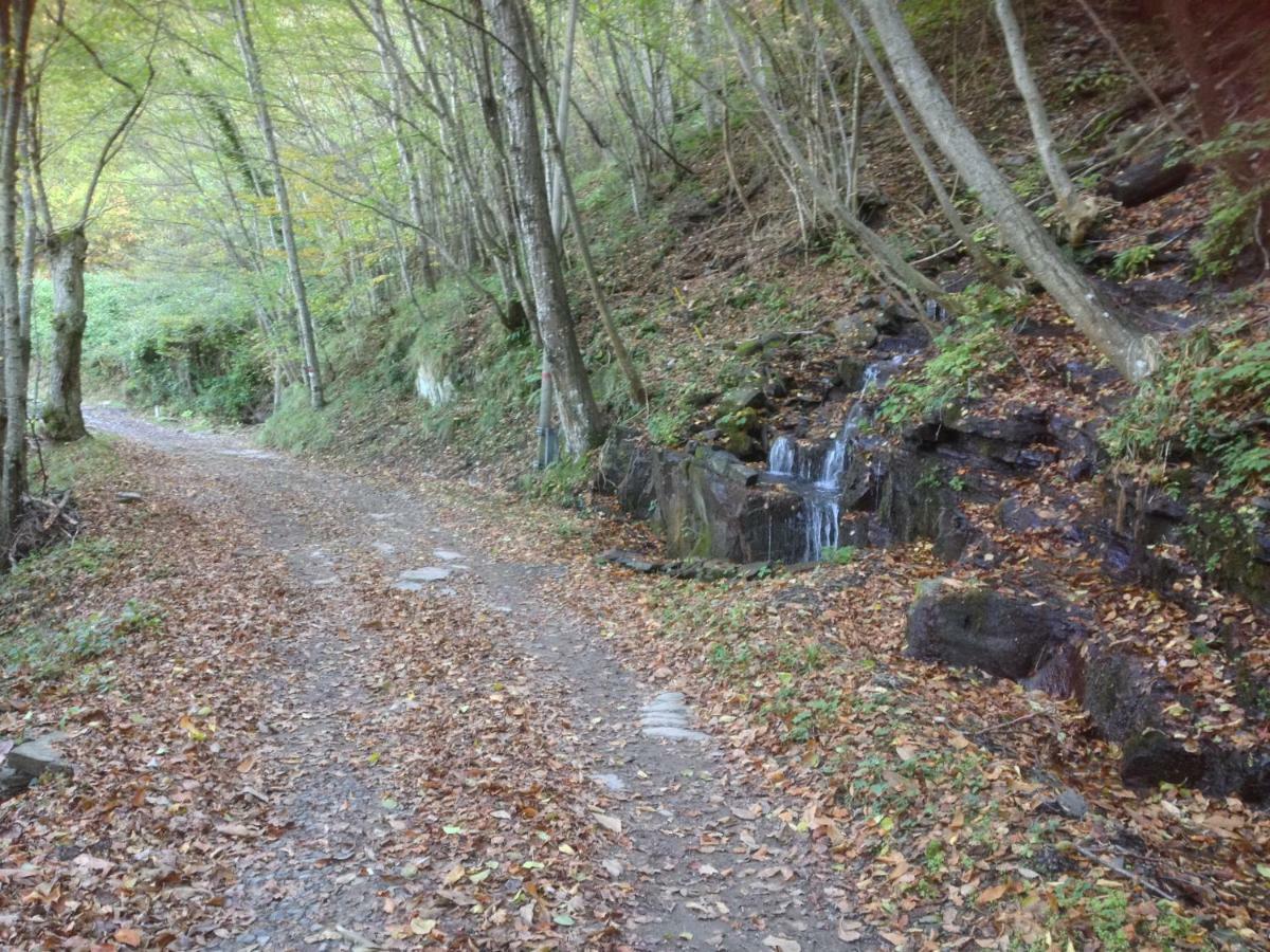 B&B Il Ghiro Castiglioni  Buitenkant foto