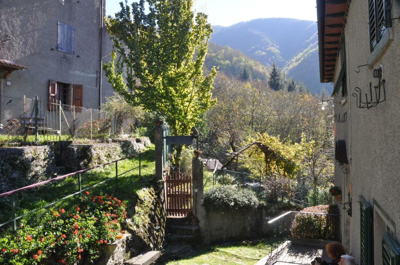 B&B Il Ghiro Castiglioni  Buitenkant foto