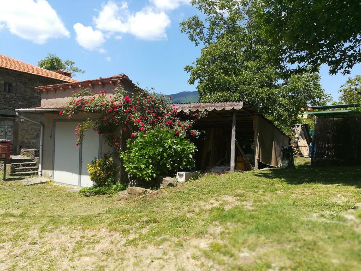 B&B Il Ghiro Castiglioni  Buitenkant foto