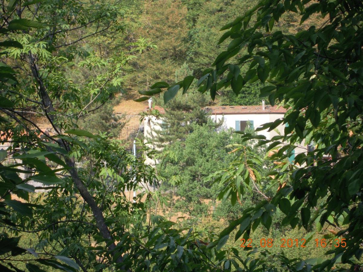 B&B Il Ghiro Castiglioni  Buitenkant foto